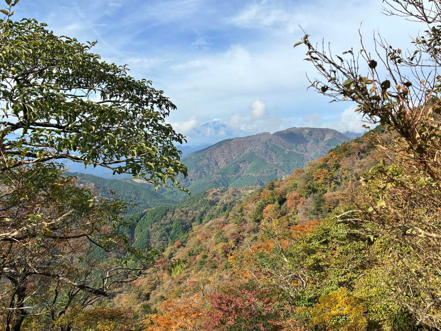 ちょっとだけ見えた🗻