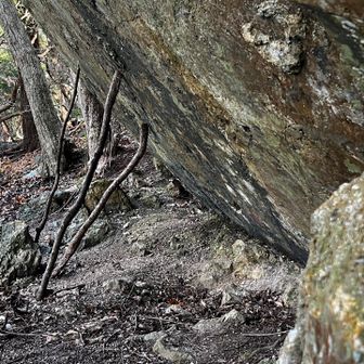 何も無かったのでやっておきました、突っかい棒