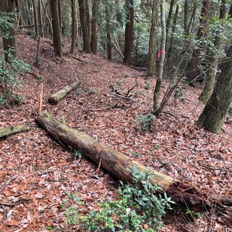 不動岩に至る道の頭上に覆い被さっていた腐木がやっと折れてくれました。

これで一安心 😙

脇に寄せようとトライしてみましたがやっぱ無理 😫
ビクともしません（笑）

宝池寺に戻ります。