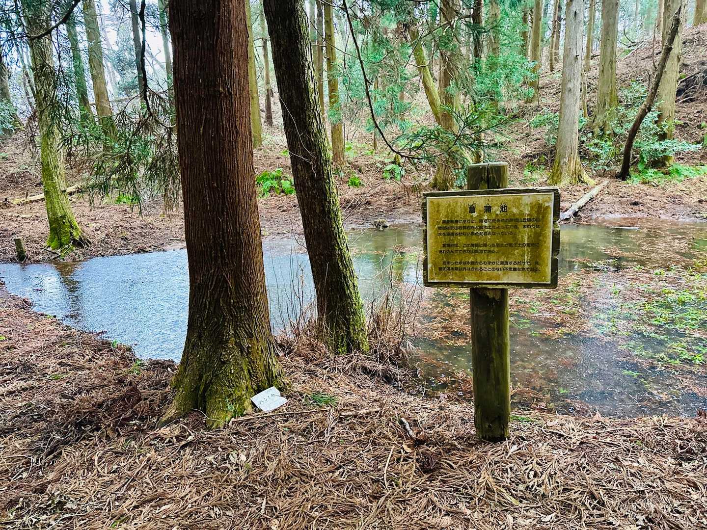 菖蒲池と書いてあります。
底が安山岩で水が浸透し難いので窪地に水が溜まってできているとのこと