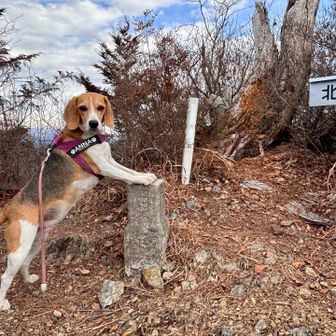 北の峯に到着

ワンちゃんはここでお昼ごはん