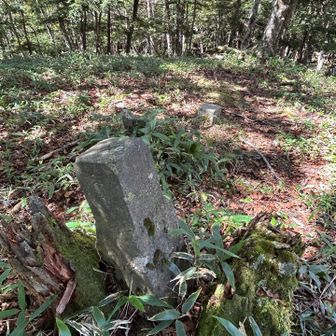 中央にある国土地理院の🔺三角点が遠慮がちに小さい(^.^) ここは宿坊跡なのか⁉️