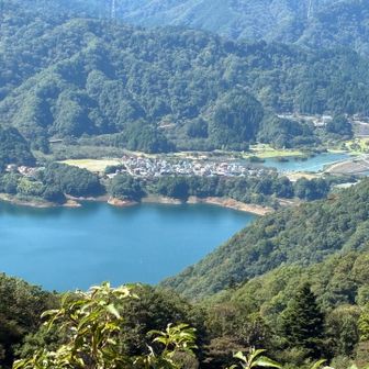 緑の芝生は公園かな？