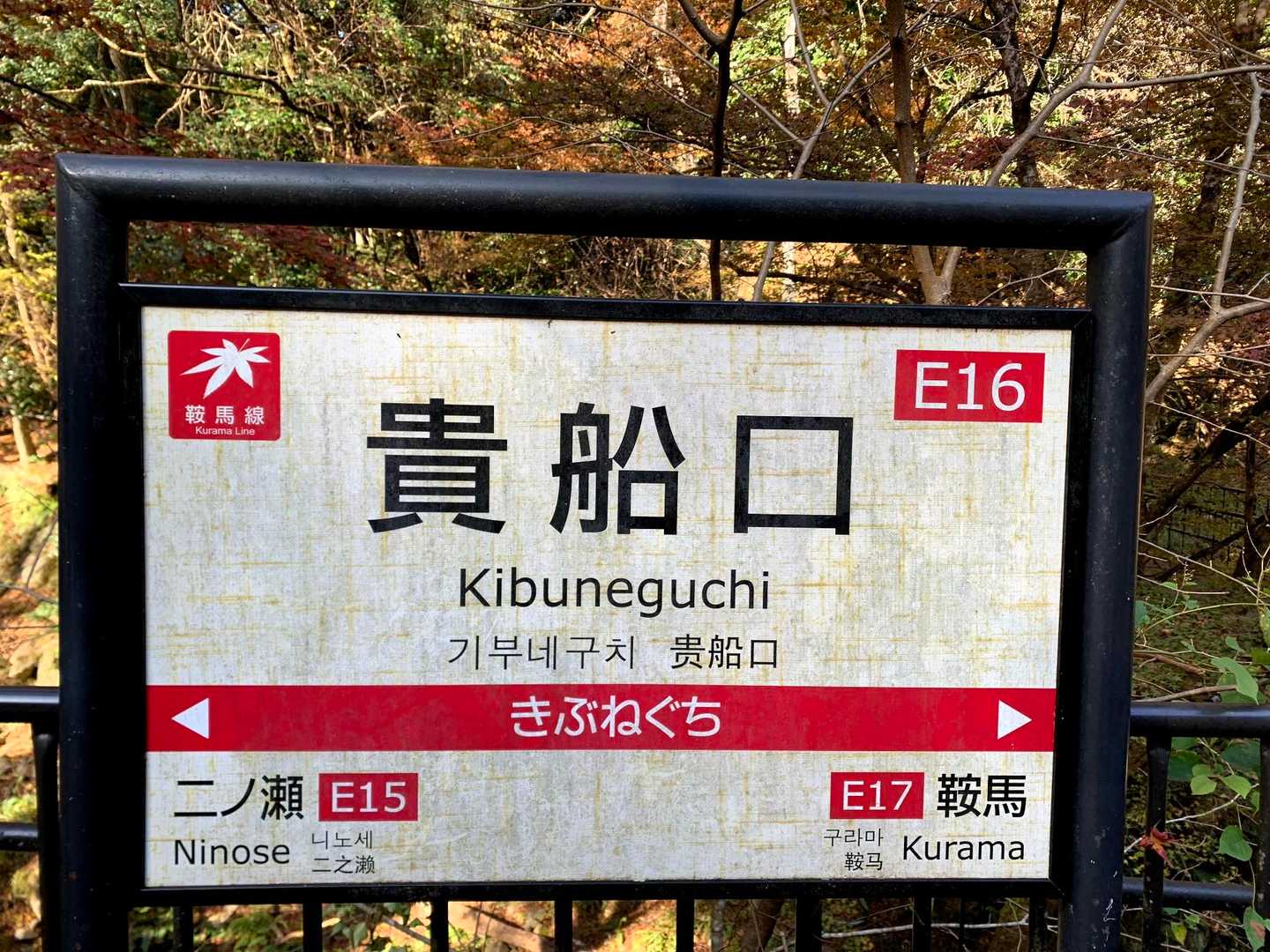 貴船口駅🚃→もみじトンネルは徐行・🍁ほぼ終盤→出町柳駅🚃