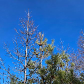 あまりに寒いので木の陰で冬装備に着替えます