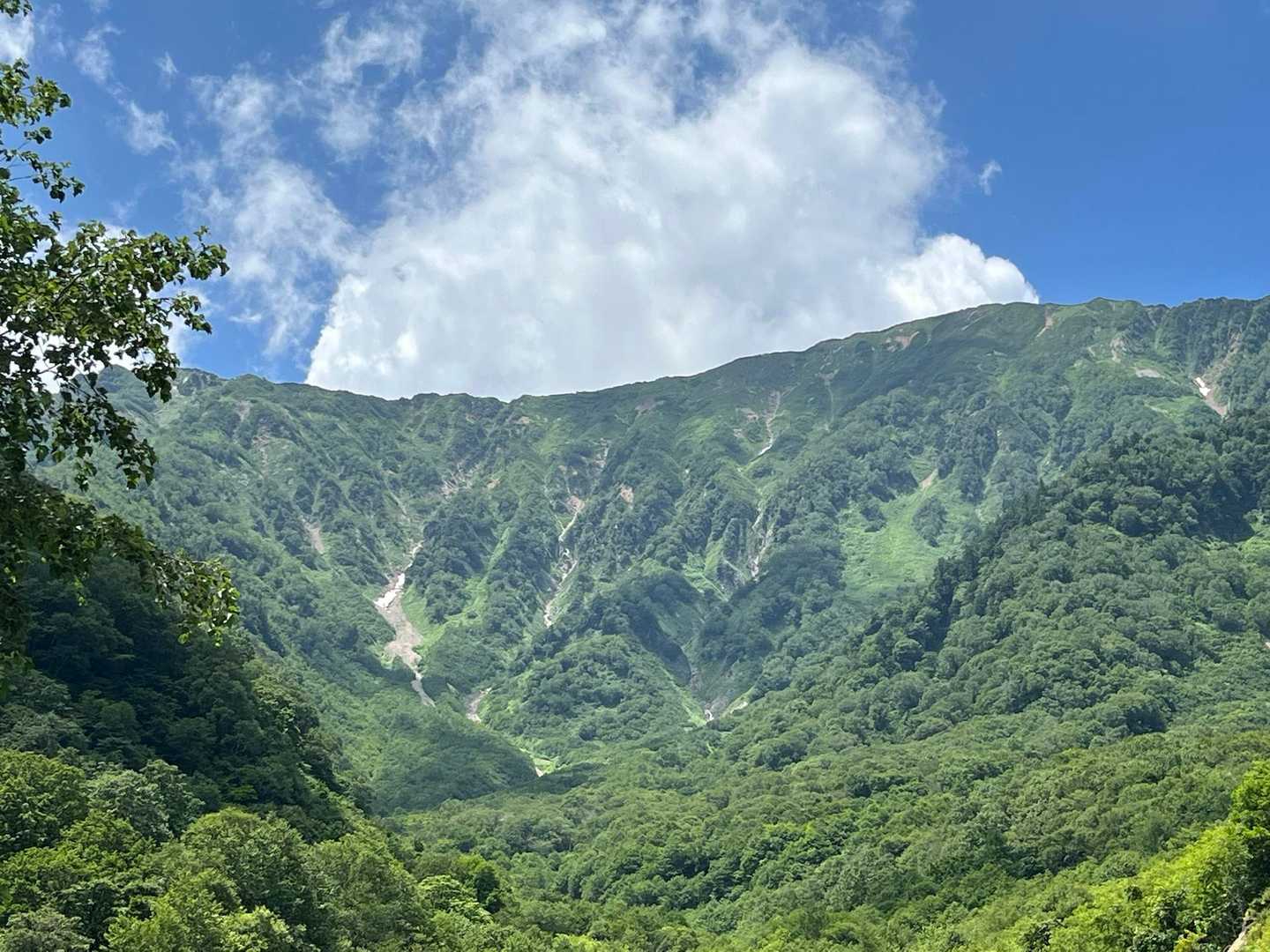 サーキット行けたか？