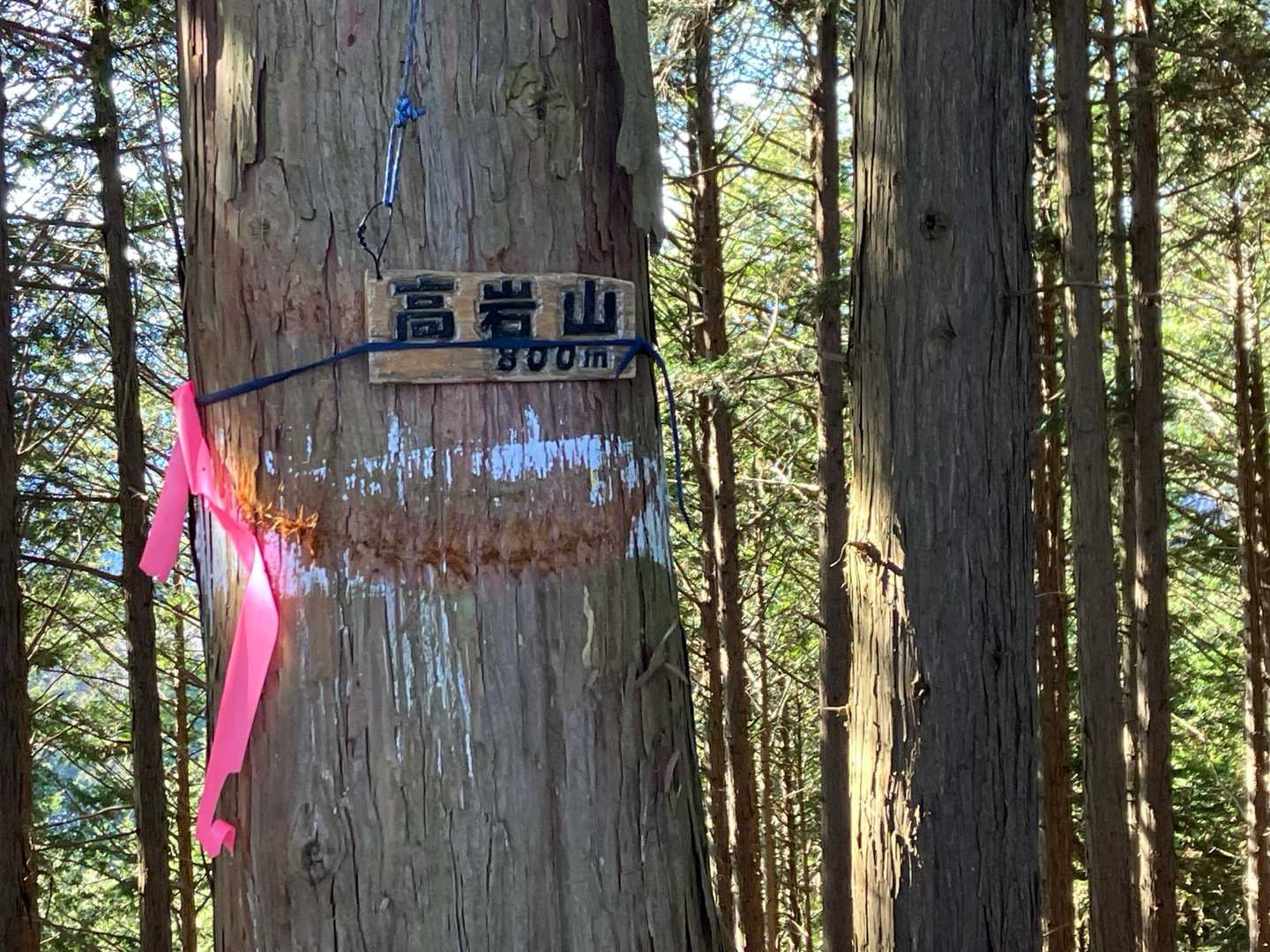 🩶グレーピーク高岩山