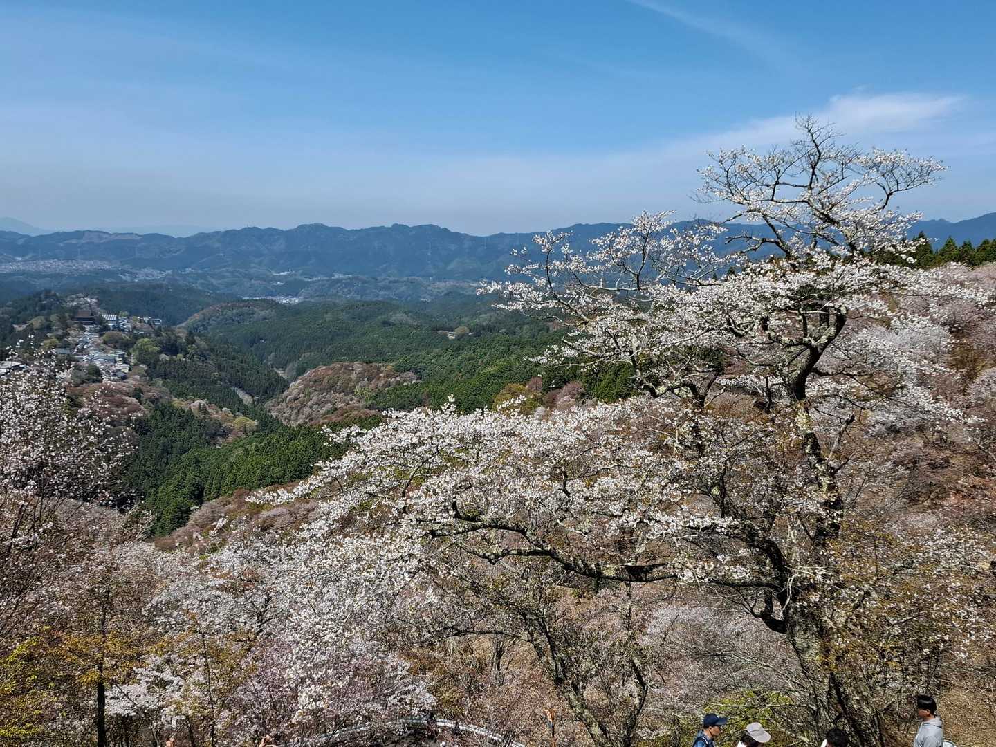 吉野水分神社-高城山-金峯神社-青根ヶ峰 往復コースの写真