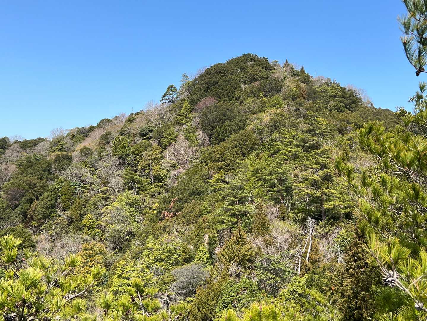 袴腰山-大代山-歓喜天 周回コースの写真