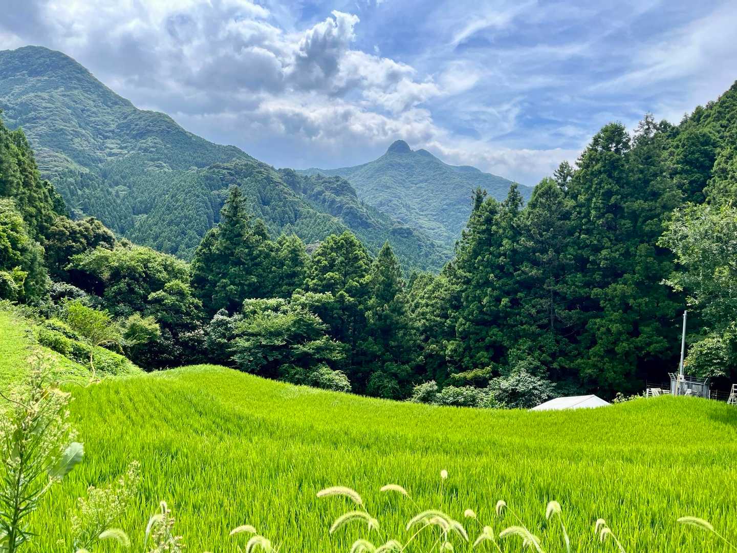 良い景色です🙆