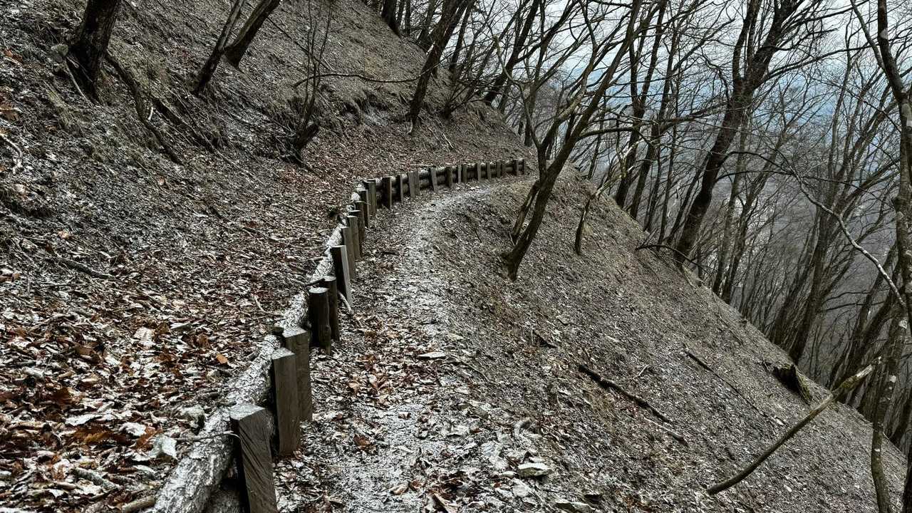 奥多摩、石尾根テン泊縦走（鴨沢〜七ツ石山〜鷹ノ巣山〜六ツ石山〜奥多摩駅） の写真 57