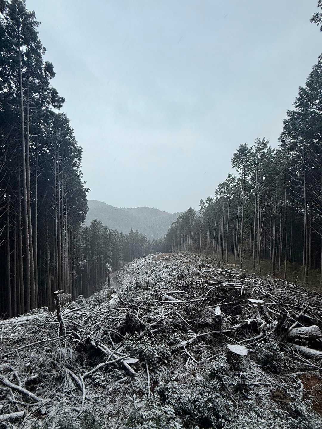 下山時には真っ白に😳
寒いので次の山へ向かいま〜す🫡
　　　　　　　　　　　　　　
お疲れ様でした♫