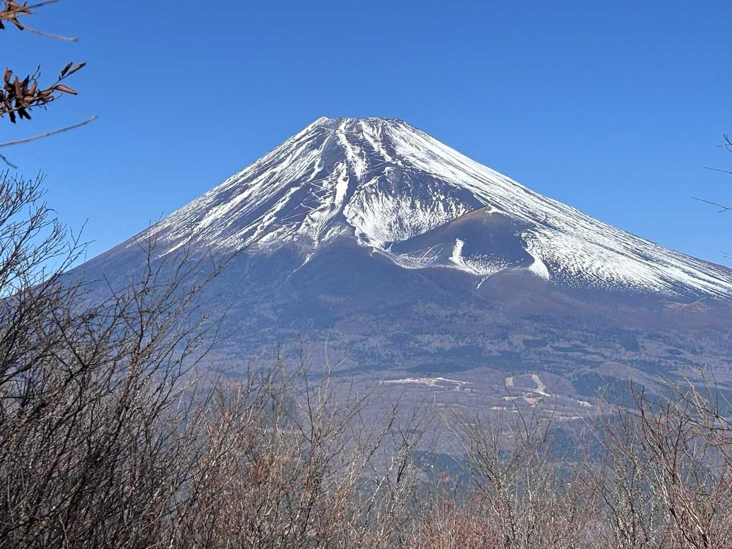でっかい富士山が見れました