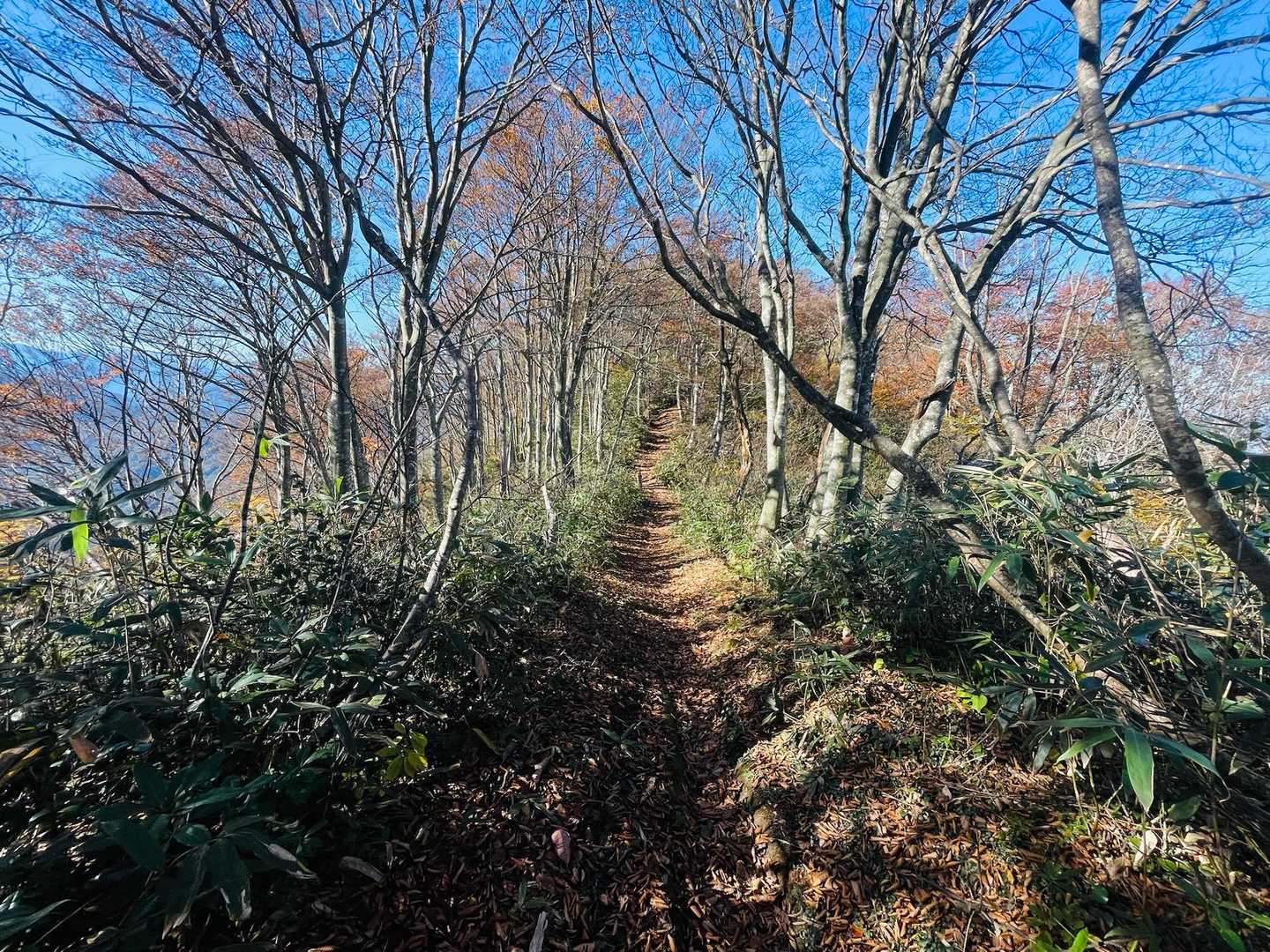西峰へ