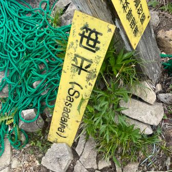 笹平到着