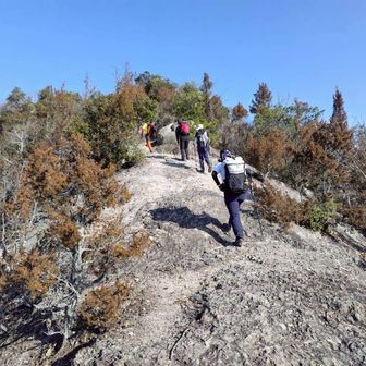 さらに登り　岩山　プレート何もなく