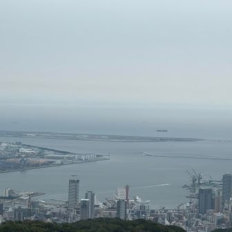 ポートタワー周辺をアップで🗼✨