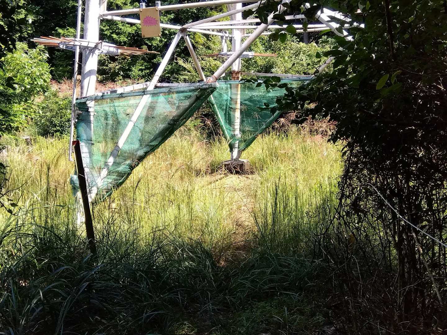 途中に数カ所、高圧線の鉄塔があります。