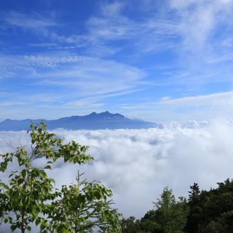 そして、この岩場（やせ尾根）から景観がいったん良い。雲海に浮かぶ八ヶ岳。