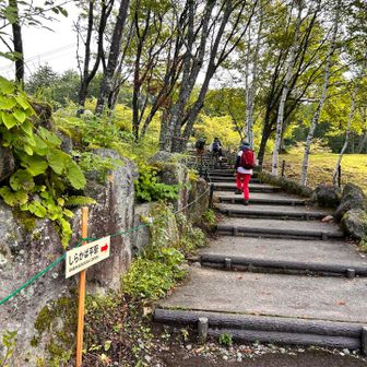 整備されてる
25年前は遊歩道を歩いた記憶が、、、