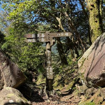 根平峠。
道標に無いけど、奥へ進むと「鈴鹿の上高地」方面。