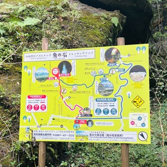 丁寧なルート図がまだ新しい😉