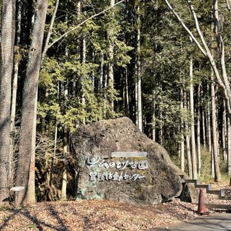 大きな石🪨がたくさん
ぴったり12時なので、駐車場🅿️で
お昼にしました^_^

お蕎麦やさんには入ったことありません
今度入ろっかなぁ