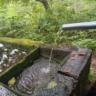 木曽の湧水