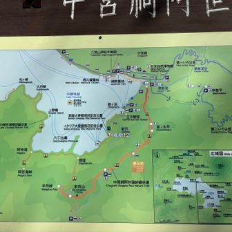ここから茶ノ木平までは25分の表示
ですが・・・