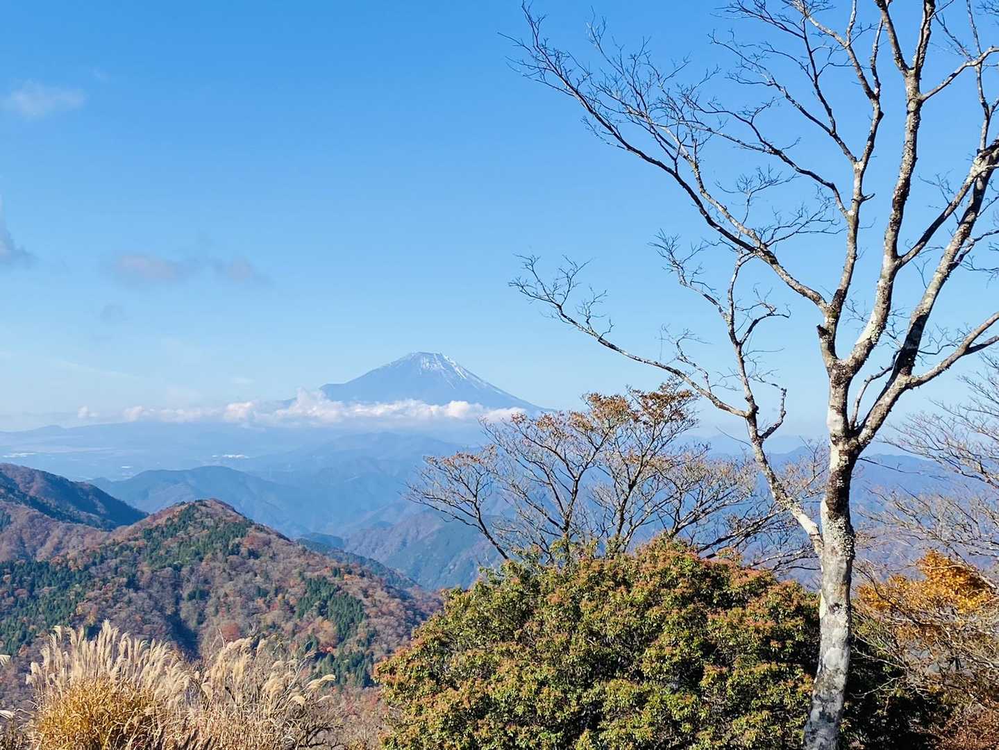 見えてよかった〜