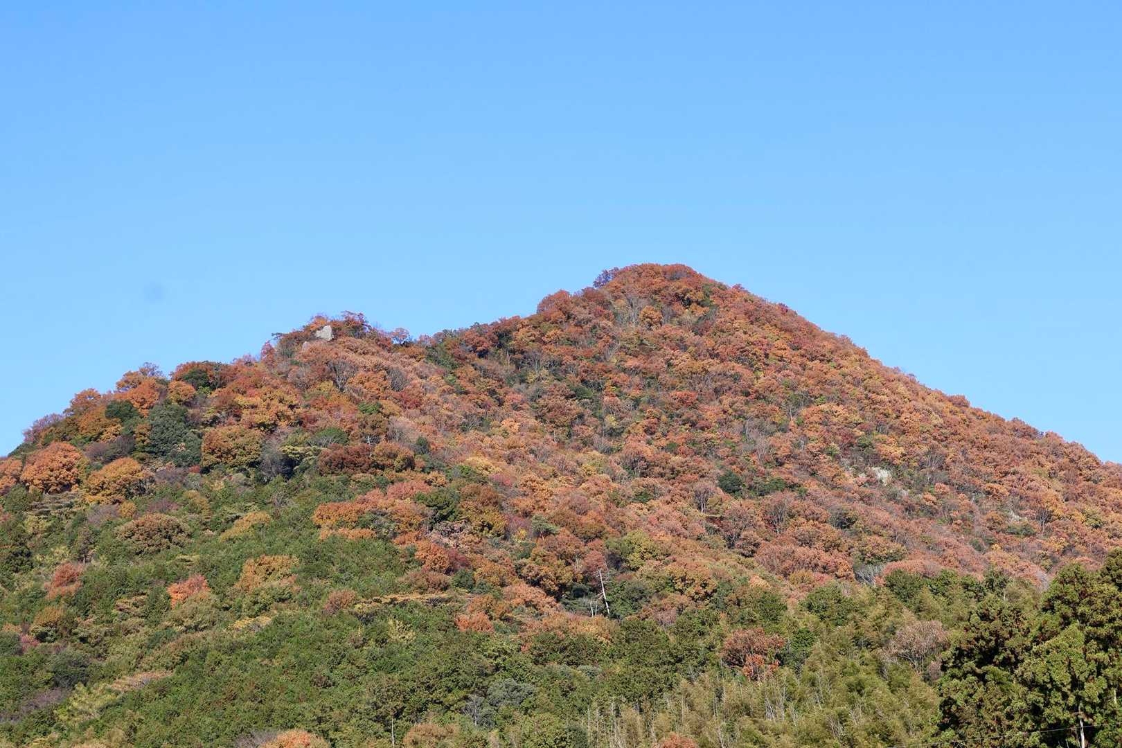 錦秋🍁✨✨
振り返ると先程の山が見えました✨✨
あの美しい山の中にいたと思うと嬉しい☺️