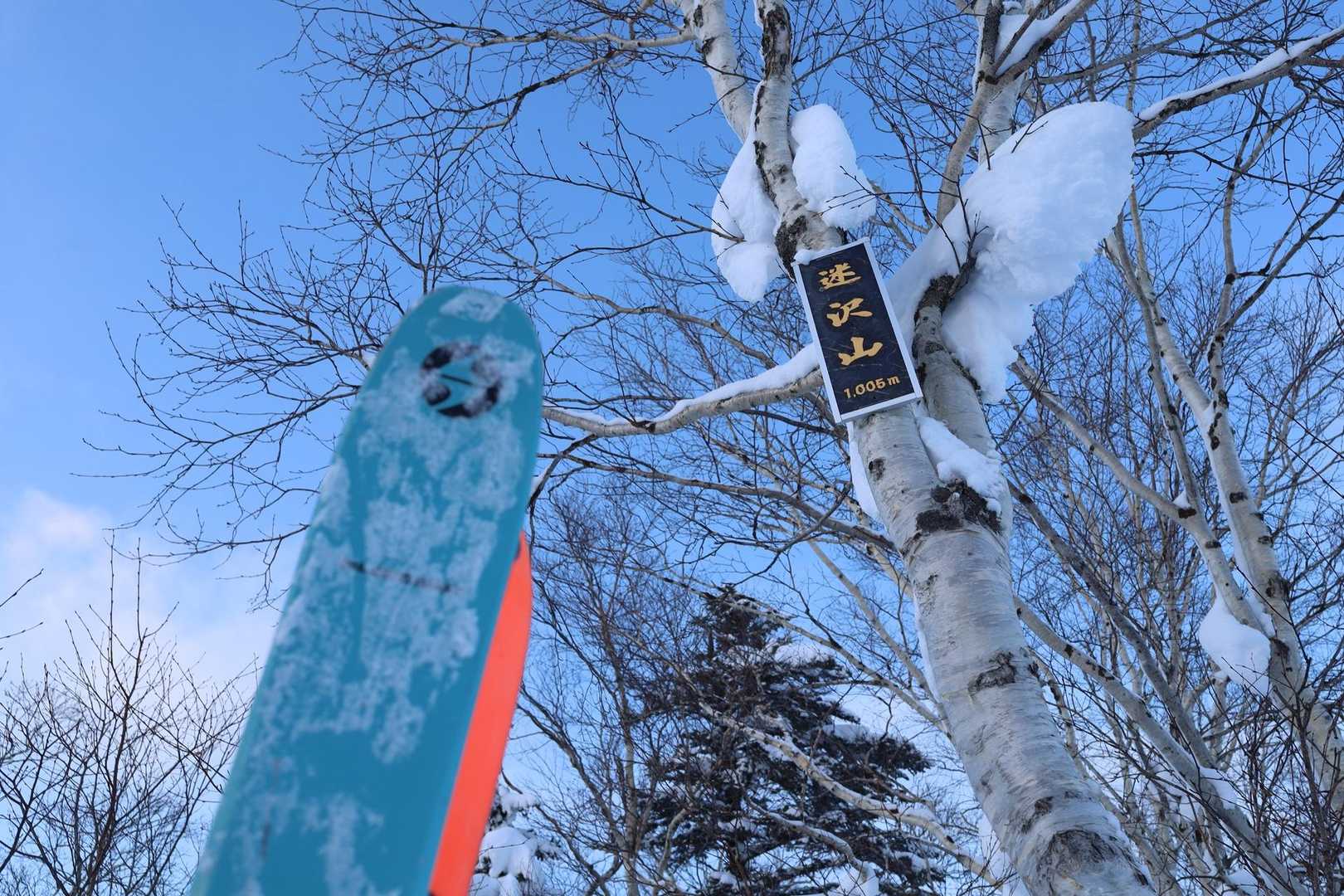 ピーク、迷沢山