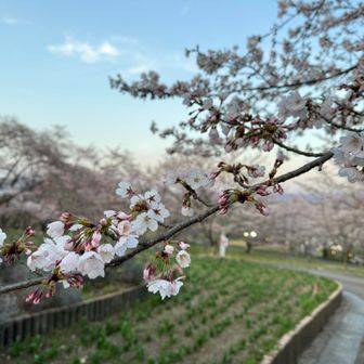 山頂に戻ってきました