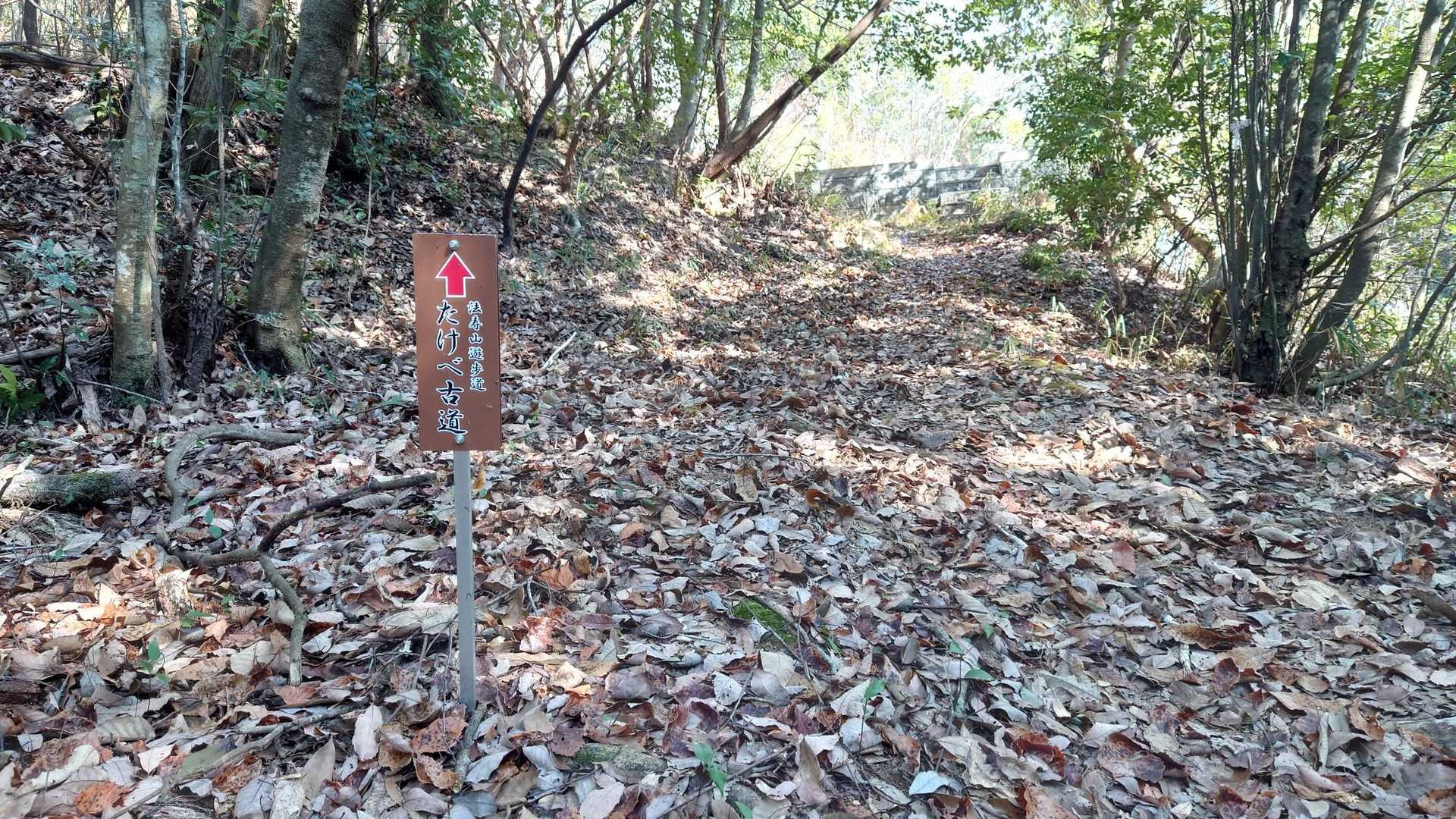 道標ありがとうございます