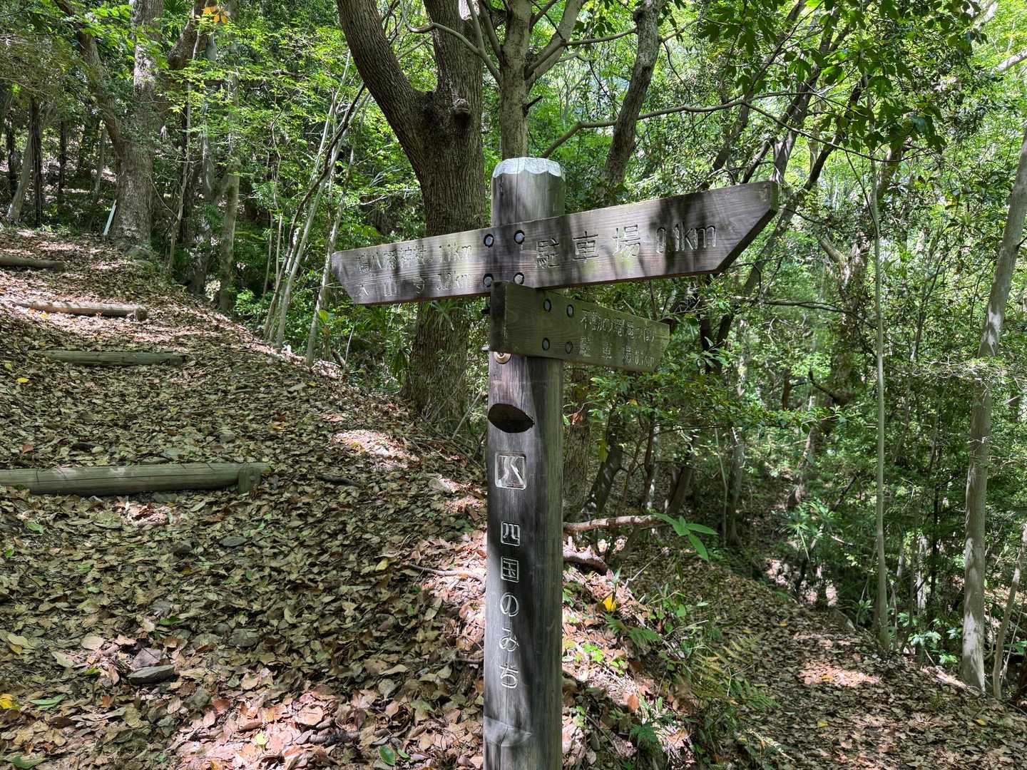 七宝山登山口-南七宝山-稲積山 往復コースの写真