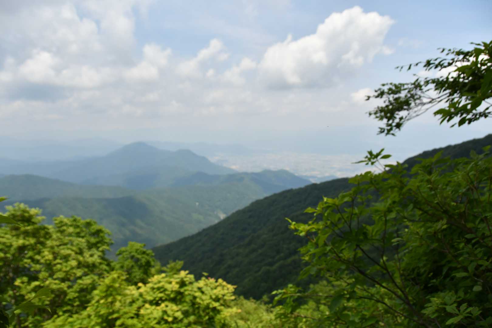 小葉谷登山口-銀杏峯 往復コースの写真