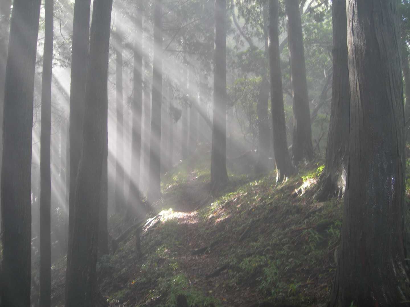 那須ヶ原山-三ツ頭山-小笹山 周回コースの写真