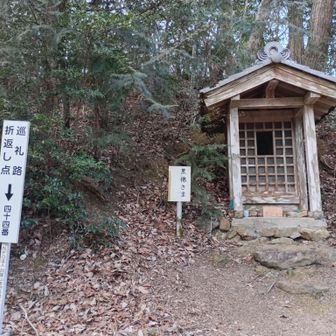 折り返し地点。