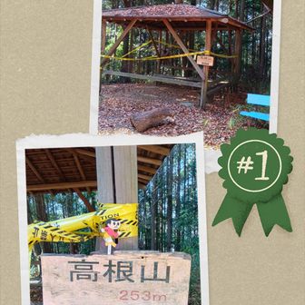 あれっ⁉️うっかり八兵衛
高根山通過しちゃったよ
あっさりゲットー👌