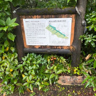 分岐
