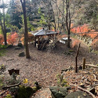駐車場に帰還。九州の山の秋も終わりが近いねえ。