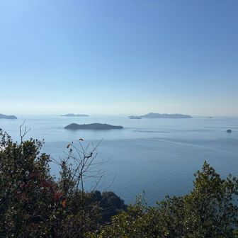 瀬戸内の穏やかな海と島々を愛でながら走っていく🏃‍➡️