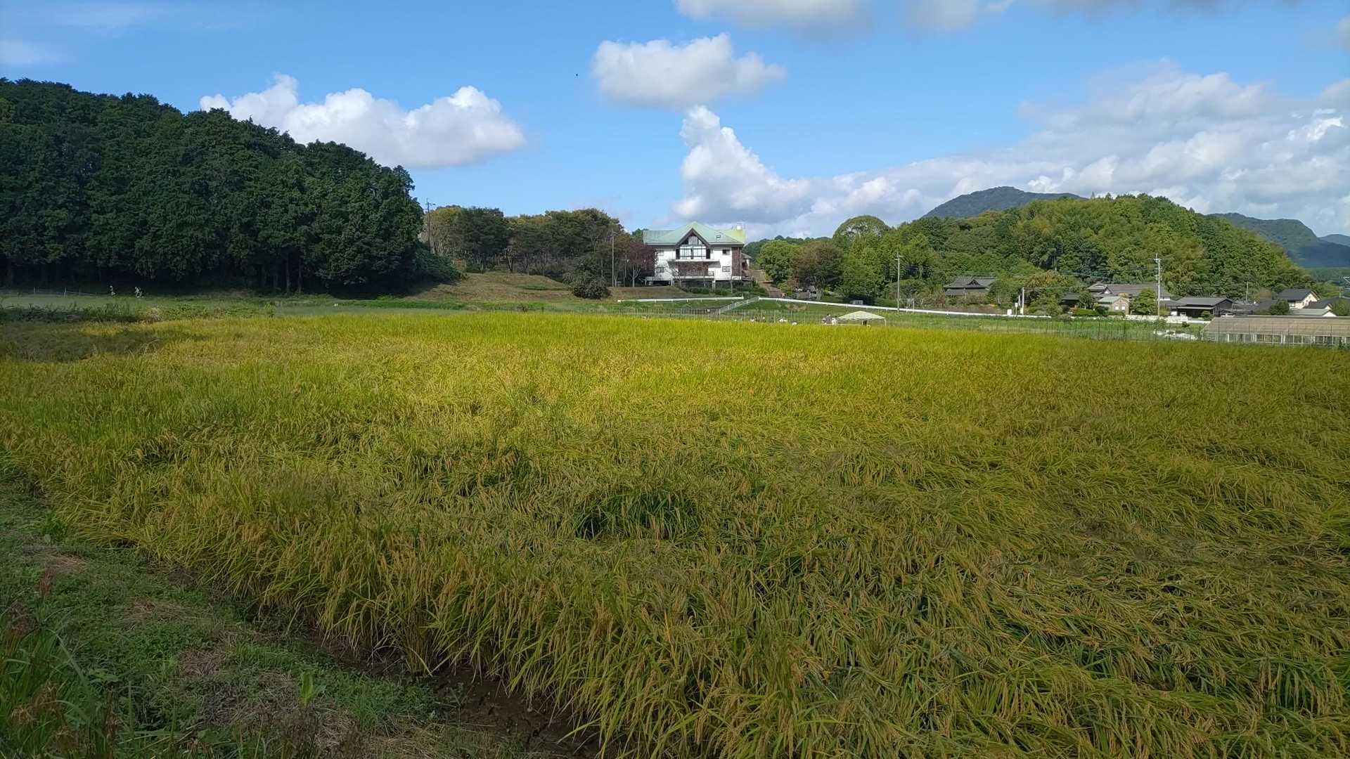 正助ふるさと村。秋ですね