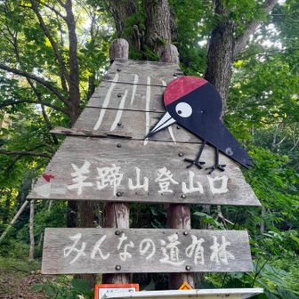 入山届を記入してスタート❗️