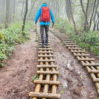 木道は濡れてて滑るけどドロドロ避けるにはありがたい