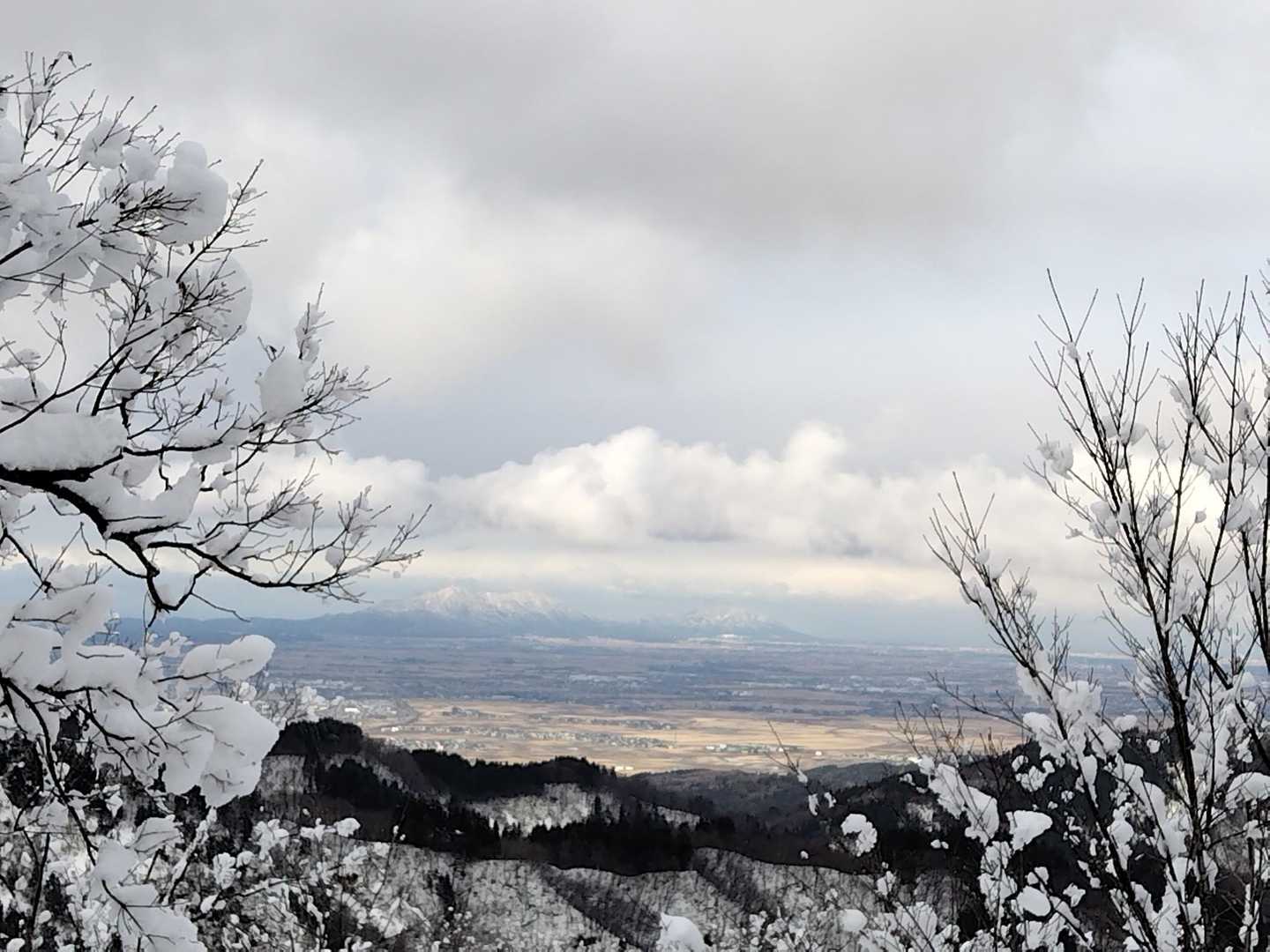お〜👀
弥彦＆角田方面も見えてる👍
初詣客で賑わってるだろね〜
春には西蒲三山縦走しよう！