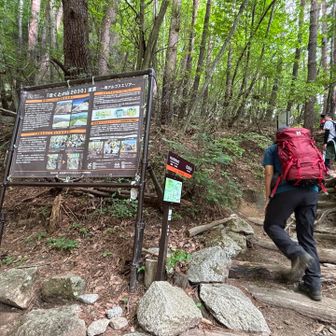 仕切り直して、
ココも登山口😆