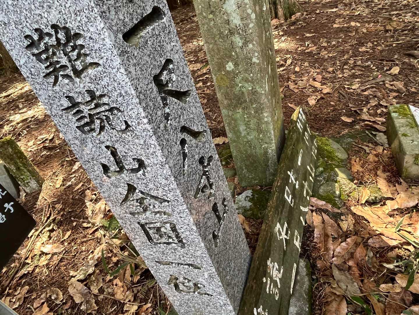 大喜びだったので連れてきてよかったな