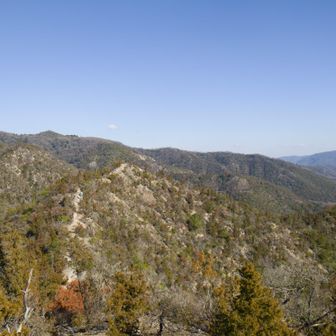 あそこで昼にしようかな