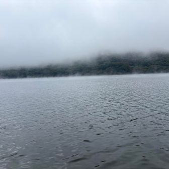 赤城山上の方にしかなかったガスが、沼まで降りてきちゃった…🌫️🌫️🌫️